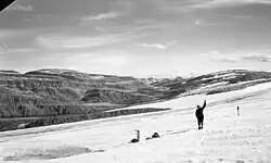 Ålfotbræen set mod Gjegnalund sommeren 1966