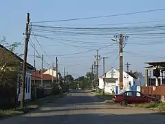 Gade i Valea lui Mihai