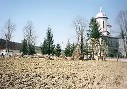 Ortodoks kirke