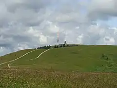 Sommer på Feldberg