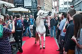 Premiere på Of Horses and Men