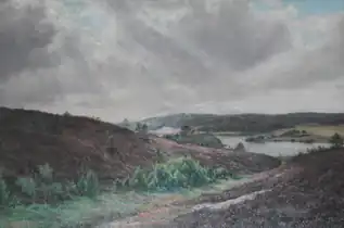 Parti fra Silkeborgsøerne, 1919