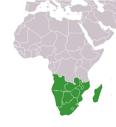 Kort over Afrika med det sydlige Afrika markeret