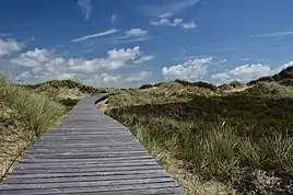 Sti gennem klitterne