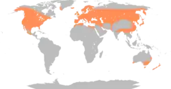 Gråandens udbredelse