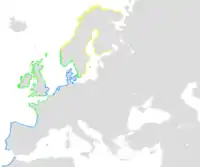        Ynglende sommergæst        Findes hele året        Vintergæst(omtrentlig udbredelse)