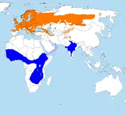 Udbredelsen af skovpiber

          Yngleområde for nominatformen trivialis
          Yngleområde for underarten haringtoni
          Overvintringsområde for begge underarter
          Gennemtræksområde og lejlighedsvist over-     vintringsområde for sydvest-trækkere