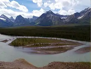 Athabasca River i Jaspers National Park