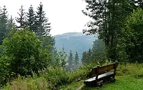 Udsigt mod Feldberg
