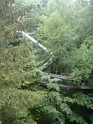 Udsigt fra  Baumwipfelstien