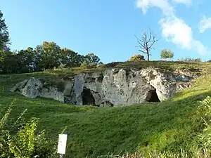 Bemelerberg: kritformationer