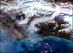 Beringgletsjeren løber ud i Vitus Lake ved Alaskagolfen.