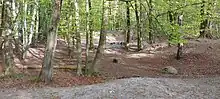 Ved "Grusgraven" i midten af skoven