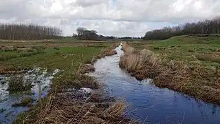 Bjerremose Bæk umiddelbart før den løber sammen med Gunderup Bæk