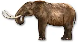 Mastodon (Mammut americanum)Grafik: Dantheman9758