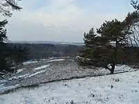 …og om vinteren over Naturpark Aukrug.