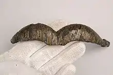 Fragment fra Broahjelmen.