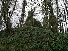 Castell Moel set fra Llansteffan Road