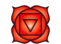 Rod chakra / Muladhara