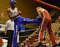 To savate udøvere ved VM i 2013