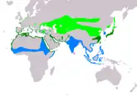 Udbredelse af Ch. alexandrinus Yngler findes rasteområder