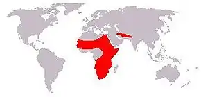 Gepardens udbredelse.