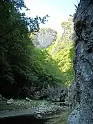 Mada Gorge (Cheile Măzii eller Madei) i Metaliferi-bjergene
