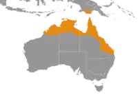 Kravegams udbredelse