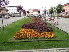 Blomsterbede i Chojnów