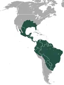 Nibåndsbæltedyrets udbredelse