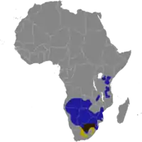 Udbredelseskort: Hvidhalet gnu markeret med gulOksegnu markeret med blåOverlappende områder brunsort