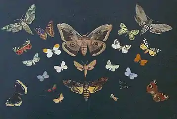 Sommerfugle, 1893 (ung: 'Pillangók')