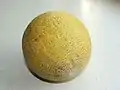 Melon