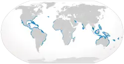 Tyrehajens udbredelse