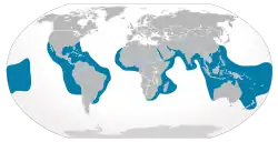 Tigerhajens udbredelse