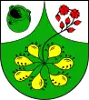 Coat of arms of Seth (Holsten)