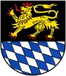 Coat of arms of Simmern (Hunsrück)