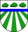 Coat of arms of Steenfeld