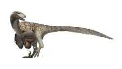 Deinonychus antirrhopus rekonstruktion.