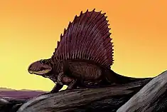 Dimetrodon