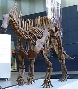 Amargasaurus