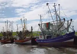 Rejekutter i Dorum-Neufeld