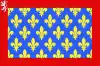 Sarthes flag
