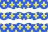 Seine-et-Marnes flag