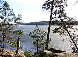 Drevviken med martsis 2007