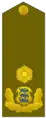 Estland Brigaadikindral