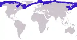 Remmesælens udbredelse