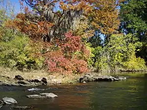 Efterårsfarver ved Coosa River i nærheden af Wetumpka, Alabama
