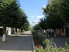 Republicii cykelgade