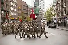 Fanen ved Cimbrertyren